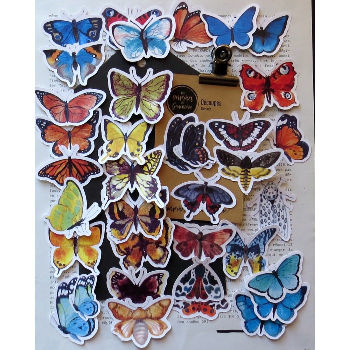 D66. Découpes papillons